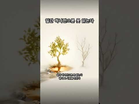 AI는 선한가 악한가, 잘못된 질문? | 명리와 인공지능 (쇼츠)