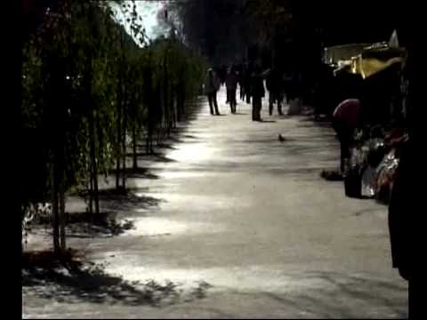 Híradó, 2009. december 16.  - 1. rész