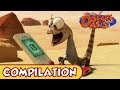 Oscar's Oasis - NOVEMBER COMPILATION [ 30 MINUTES ]