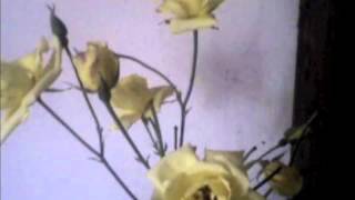 It's easy to Remember