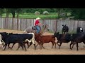 Sunset Valley Ranch Working With Bobber Robert