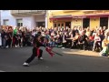 Kung Fu Tochter Meister