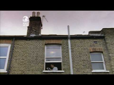 a short film about Peace One Day