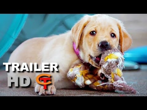 PICK OF THE LITTER Trailer (2018) Dog Movie