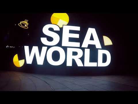 SHEKOU SHENZHEN CHINA 🇨🇳 | Seagull Restaurant and Bar