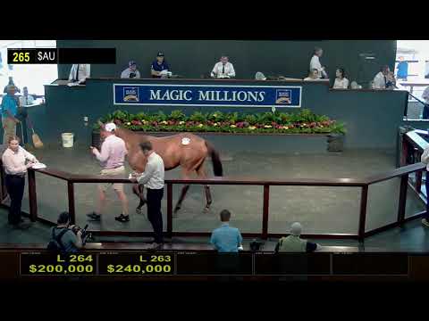 2020 Gold Coast Yearling Sale Day 2 (Replay)