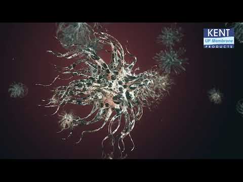 KENT UV Water Purifiers