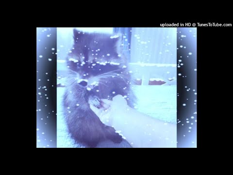 TheQwix - yassir feat Savage Ga$p 9tails DeathPigs shinigami marvy ayy