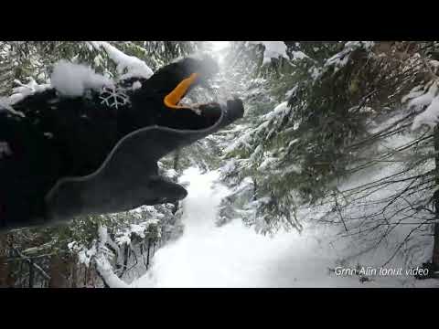 Suhardul Mic - Lacul Rosu - Traseu de iarna