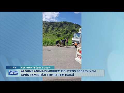 Caraí: Caminhão tomba, animais morrem e ninguém fica ferido.