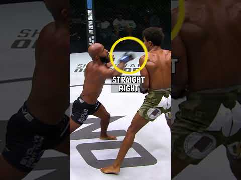 Demetrious „Mighty Mouse“ Johnson A Legacy of MMA Excellence