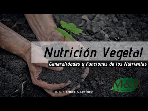 Nutrición Vegetal: Generalidades y Funciones de los Nutrientes