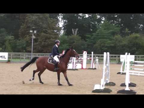 Sultanah OL Fox Parwood 27 09 16