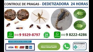 preview picture of video 'Dedetizadora Pirituba,11 2807-7715,Desentupidora Pq São Domingos'