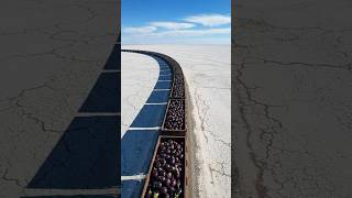 Elephant saved Brinjal plants from drying out by wateringthem 😭#ai #tree #save #elephant