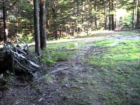 10 Shot Assault Drill