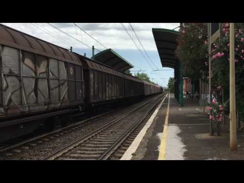 MRS Chiasso Smistamento - Anagni Fiuggi in super ritardo a Capannelle!