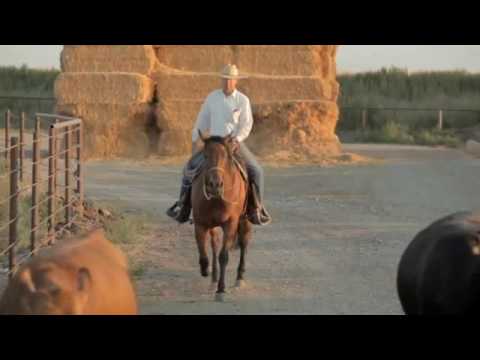 download lagu mp3 mp4 Snake River Farms Idaho, download lagu Snake River Farms Idaho gratis, unduh video klip Snake River Farms Idaho