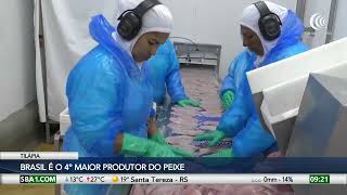 Miniatura do vídeo