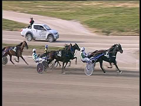 Trotto 24/01/2020 - 1ª corsa