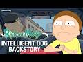 Intelligent Dog Backstory Rick And Morty Adult Swim Europe