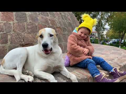 Keto & Kote
