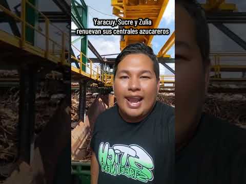 Yaracuy, Sucre y Zulia renuevan sus centrales azucareros para el consumo nacional