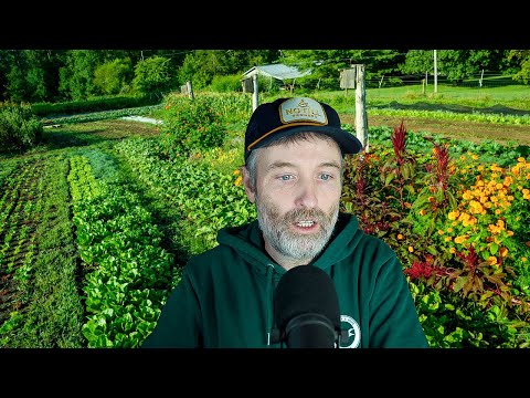 Urban Green: Cities' Eco-Gains & Taming Perennial Weeds