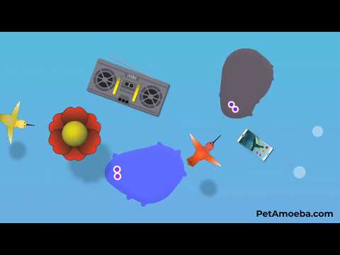 Pet Amoeba - Virtual Friends Video