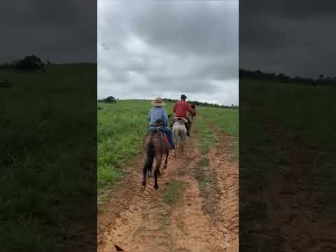 📍Município de Itupiranga - Pará 210 Alqueires 7.350.000   9️⃣3️⃣9️⃣9️⃣1️⃣0️⃣1️⃣0️⃣5️⃣1️⃣1️⃣