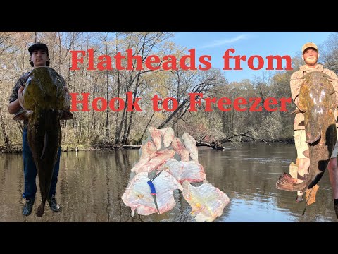 Catfish from Hook to Freezer