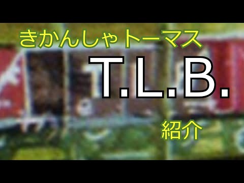 トーマス・ロバート・チェフについて詳しく解説