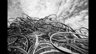 Freecycle Wellness Class 1.9.23