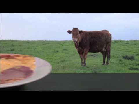 The Voice of Ireland Afterparty 4 - The Generation Game