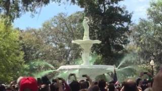 Greening of the Fountain