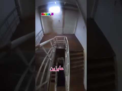 الكلب وقع من فوق! جريت ونطيت من على السلم عشان أنقذه🐶😂 #viral #shorts