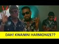 AMESHINDWA?harmonize feat sarkodie - DM chick (official music video)