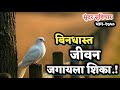 बिनधास्त जीवन जगायला शिका Motivational Quotes Marathi Su
