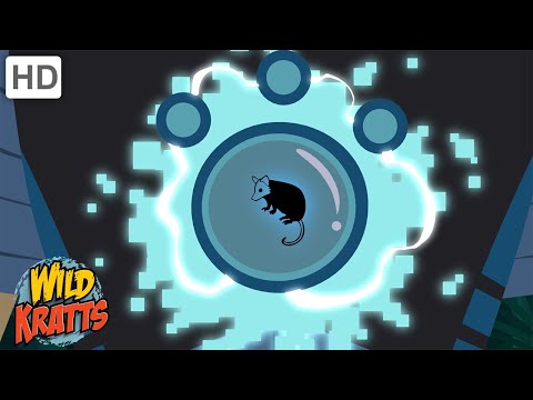 Every Creature Power Transformation Part 15 | Wild Kratts