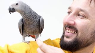 10 Creatures That Are Evolving Into Humans