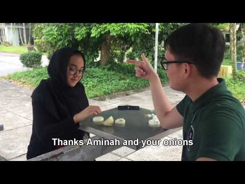 MP13 - Elements of Group 17 (LU5)