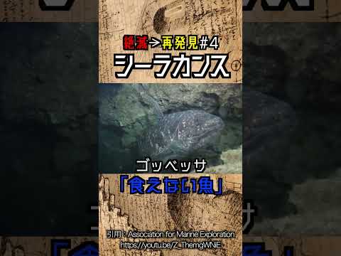 アマゾンの絶滅危惧動物 - 画像と珍品