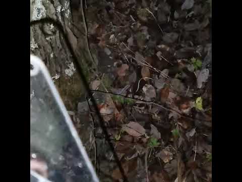 Näin kävi kännykälle tänään