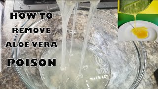 HOW TO PROPERLY REMOVE THE POISON FROM ALOE VERA | NO ITCHING