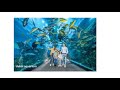 IMG Worlds Of Adventure Fast Track Tickets Dubai Tour Dubai Deals