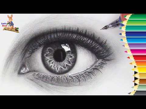 How to Draw || realistic eye step by step || Rabbit...