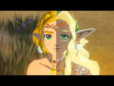 Hyrule Warriors: Age of Imprisonment - All Cutscenes Full Movie HD