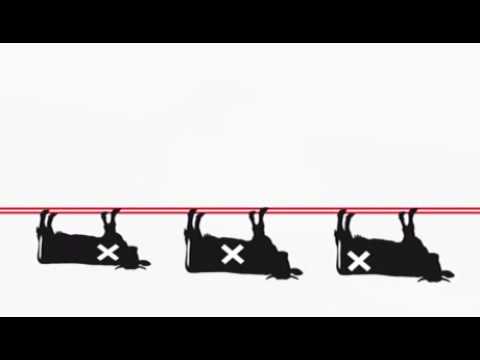 Spot IG Milch - www.ig-milch.at