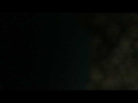 Go Diego Go - Duck and a Jaguar