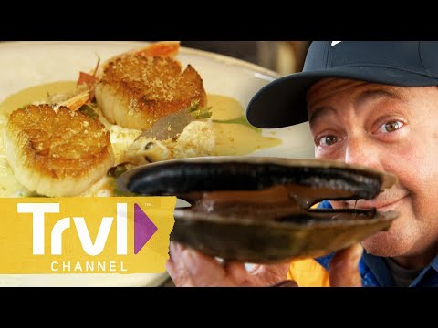 Diving for Scallops in Newfoundland | Bizarre Foods with Andrew Zimmern | Travel Channel